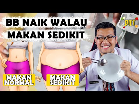 Video: Apa Itu Sedikit?