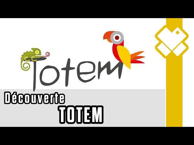 Le Totem du Et Si ? Notre jeu de société - Mocha Production