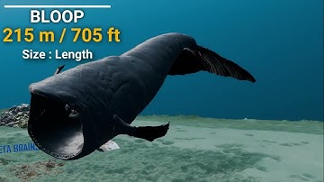 3D Sea Monsters Size Comparison | BLOOP Vs MEGALODON