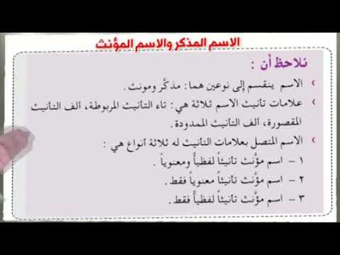 سابع عربي نحو د8 الاسم المذكر والاسم المؤنث ب2 ت