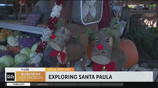 Prancer s Farm in Santa Paula SoCal Spotlight