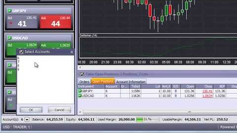 Account Information Bar