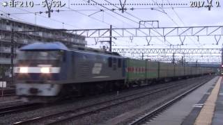 EF210-5 ついで撮りでも撮っといて良かった 巛巛