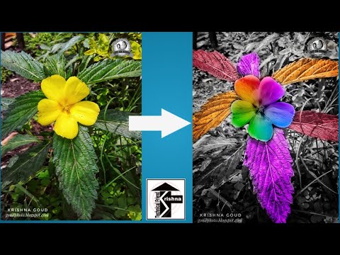 Snapseed Color Splash Editing Black And White With Bright Color Effects Tutorial..