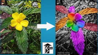 Snapseed Color Splash Editing/ Black and white with Bright Color Effects Tutorial.. screenshot 2