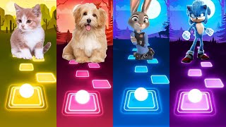Kitty VS Puppy VS Rabbit VS Sonic - Tiles Hop EDM Rush