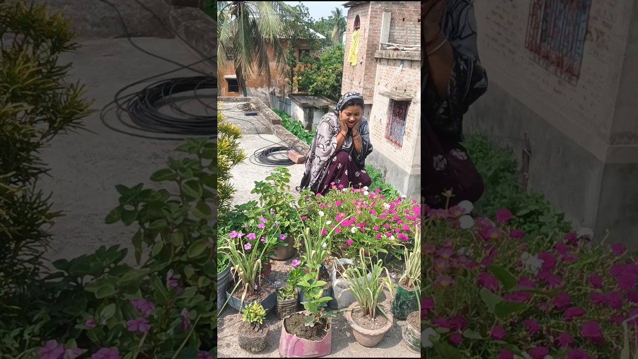 মামীর ছাদের পর্তুলিকা💐#shortvideo #youtubeshorts #shorts #gardening