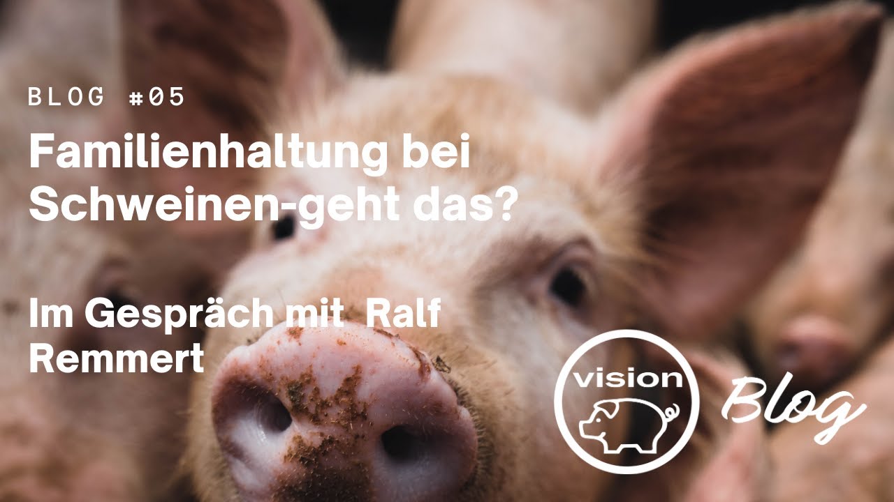 Blog 05: Familienhaltung bei Schweinen - Betriebsbesuch bei Ralf Remmert, MuD Tierschutz