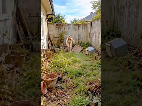 back yard garden