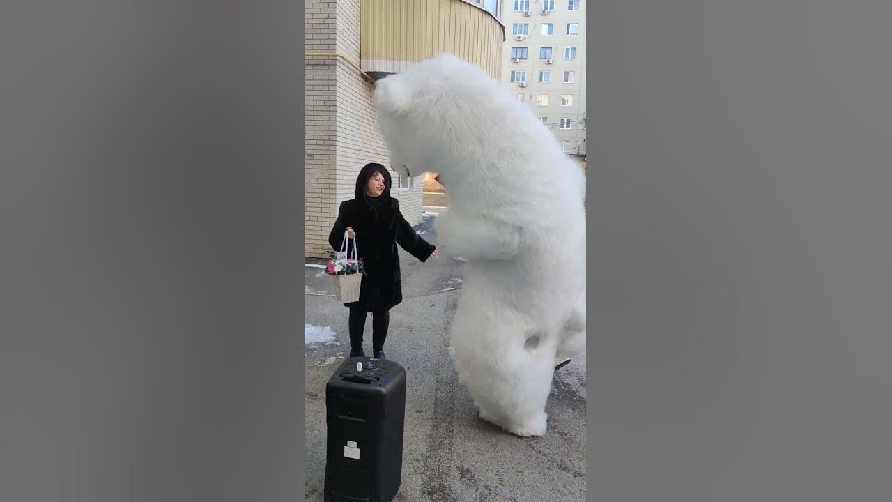 Белый мишка поздравляет! 01.02.2023г. - YouTube