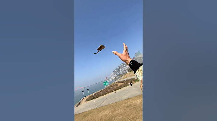 The Sugar Glider's Takeoff Route Deviated #cute #sugerglider #sugargliderstories