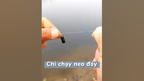 Đã ai câu chì đáy kiểu này chưa? #shorts