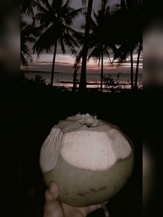 story wa sinematik sunset sore