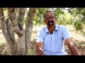 Dry-land farming | Wise words of a Successful Farmer I Ashok Kumar, Rampura Kolar