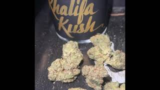 #khalifakush #kk Khalifa kush og