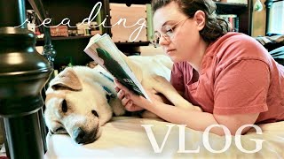 August Reading Vlog | 2022
The plan is no plans!
- Huck
SUMMER READING VLOG
https://youtu.be/kQk6qP8dWfI
SOCIAL MEDIA
Instagram @badger.reads
https://www.instagram.com/badger.reads
Goodreads
https://www.goodreads.com/BadgerReads
Twitter @badger_reads
https://twitter.com/badger_reads
Music
Shattered Paths by Aakash Gandhi
Garden Magic by Jon Algar
Forest of Fear by Aakash Gandhi August Reading Vlog | 2022