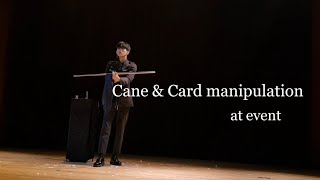 마술공연 [아리엘 마술사] Cane & Card manipulation act / Junseo Min