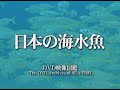 『日本の海水魚』トレーラー・OP ver.