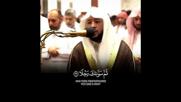 ﴿قال له صاحبه وهو يحاوره أكفرت بالذي خلقك من تراب ثم من نطفة ثم سواك رجلا﴾ [الكهف: ٣٧] #قرآن #تلاوة
