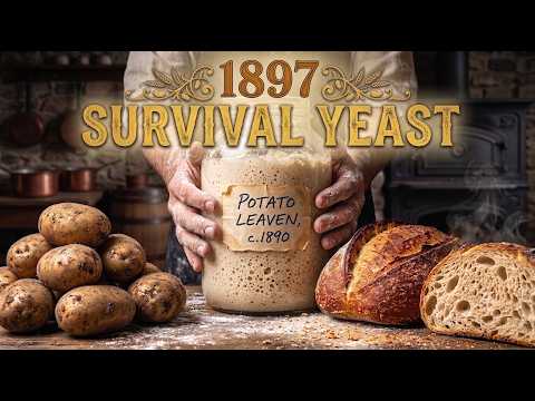 1897 Survival Sourdough: How to Stop It Going Stale (Only 2 Ingredients)
