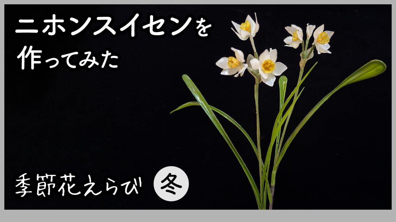 ニホンスイセンを作ってみた：容器より大きな葉に液をつける方法