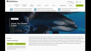 'Orcas: Our Shared Future' at Denver Museum of Nature and Science