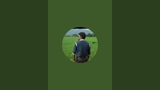 Ludo: The Game That Started a War screenshot 4