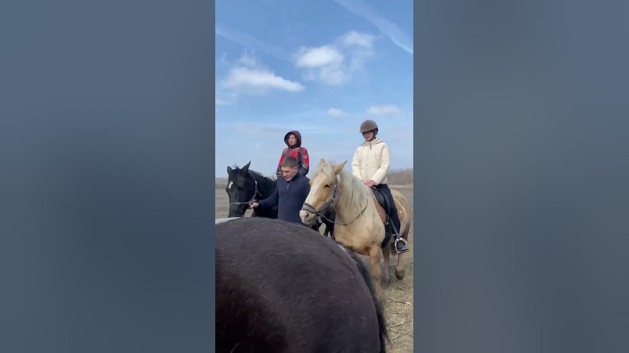 Конные в прогулки Волгоград/Волжский в конном клубе «Карсар» - YouTube
