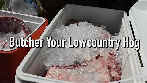 How to Butcher a Wild Hog