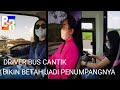 Driver bus Cantik bikin betah perjalanan jauh