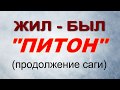 Шахтный котел "Питон". Выводы и предложения.