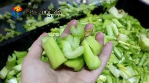 Large type celery cutting machine