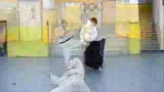 Aikido Vs KickBoxing