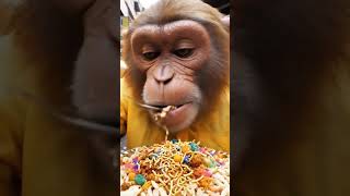 #StreetFoodIndia#ZomatoIndia#FoodGram#MiniVlog#TrendingShorts#DesiVibes