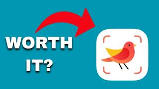 Picture Bird – Bird Identifier App Review screenshot 5