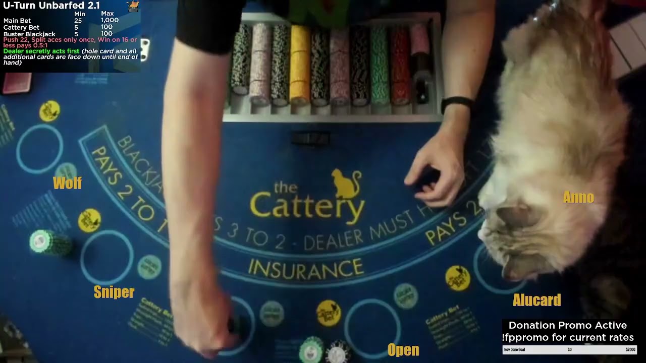 Blackjack then OFCP with Annorax | Come 