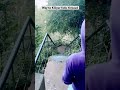 Way to Kiliyur falls - Yercaud. Around 250 steep steps. For awareness!! #yercaud #waterfall #travel