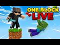 Minecraft, But There Is Only 1 Block... (Live)