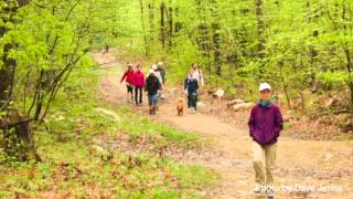 Carriage Trail Open