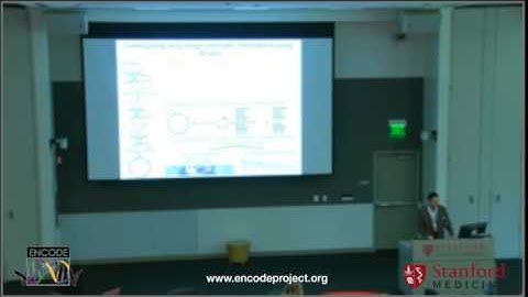 Organization and Regulation of Human Genome - Bing Ren