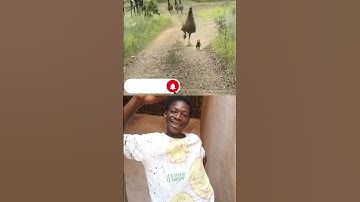 🔴ጉድ ረኣዩ ህድማ 😱 ከልቢ ሎሚ 😂🤣#habesha #tiktok #tiktokvideo #eritrea #shorts #viralvideo #viralshorts