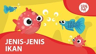 Jenis dan Nama Ikan ❤ Seri Mengenal Hewan untuk Anak-Anak ❤