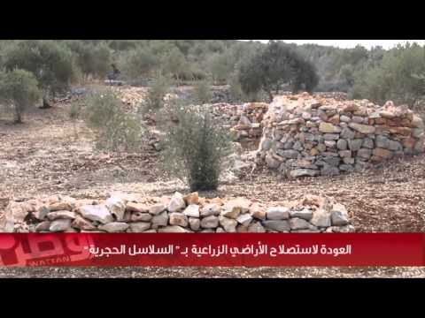 العودة لاستصلاح الأراضي الزراعية ب السلاسل الحجرية