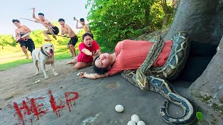 Horrifying! 4 brave hunters and pitbull rescue ethnic girl attacked by a ferocious giant python