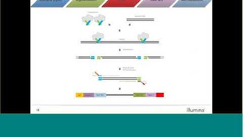 Learn with Illumina: Nextera XT Sample Preparation and Usage