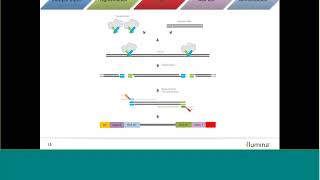 Learn with Illumina: Nextera XT Sample Preparation and Usage