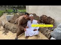الاسمدة الثلاث الطبيعية والغرين الرابع الرماد مع الزعيم ابوسلمان الاسمدة الثلاث الطبيعية والغرين الرابع الرماد مع الزعيم ابوسلمان