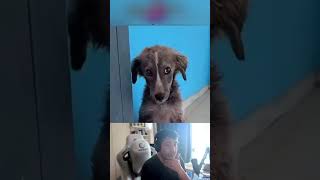 Herşey Bizim Elinizde