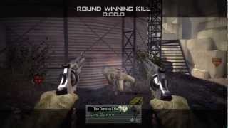 First Ever Koala Climb Bomb Shot