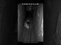 Black Girls Try A Haunted House #shorts